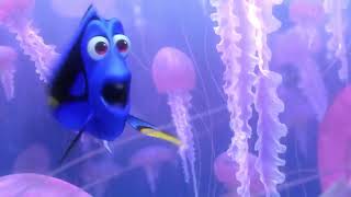 Marlin and Dory Jellyfish scene Finding Nemo 2003 [upl. by Salesin]