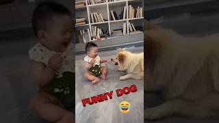 How kids play with dogs kids dog [upl. by Pippas]