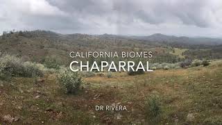 California Chaparral Biome [upl. by Glen925]