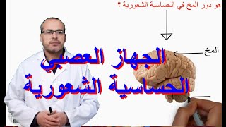 الجهاز العصبي و الحساسية الشعورية [upl. by Barney]