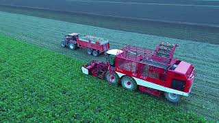 Bietenrooien met de vervaet 625 nieuw Scheemda oost Groningen farmers [upl. by Tisbe348]