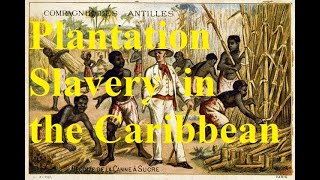 32 When sugar ruled the world Plantation slavery in the 18th c Caribbean [upl. by Nitin]