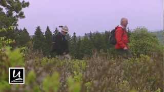 Wandern in Willingen  Kurzfilm [upl. by Enelyak]