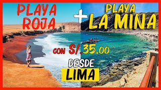 ♥️ Playa La mina Paracas  Playa roja 🏖️ COMO LLEGAR Barato desde Lima ó ica 🌞🏊 2024 Peru Turismo [upl. by Elish]