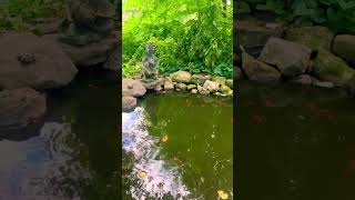 Quick morning breathing exercise for anxiety calm zen meditation [upl. by Marra]