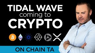 🌊OCTA Monster Tidal Wave coming to Crypto💰 V2 [upl. by Peh267]