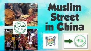 Muslim Street in China  Muslim Street in Changsha  Muslim Food  Halal Food Street  MrLee [upl. by Studnia769]