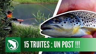 DES TRUITES TRES AGRESSIVES  On essaye la pêche à la mouche [upl. by Orlov]