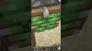 2 by 2 flush door in mcpe mcpeanime [upl. by Primo]