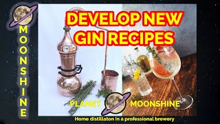 How to develop GIN RECIPES [upl. by Datnow]