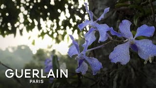 Orchidée Impériale Le Mythe  GUERLAIN [upl. by Duhl821]