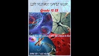 chapter 5 Risk calculation in case of gonosomal recessive disease Grade 12 LS [upl. by Boggers321]