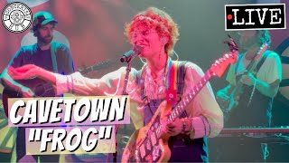 Cavetown quotFrogquot LIVE [upl. by Bary101]