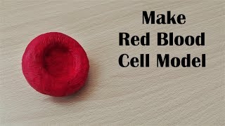 How to make Red Blood Cell Model  3d thermocolStyrofoam carving [upl. by Ahscrop]