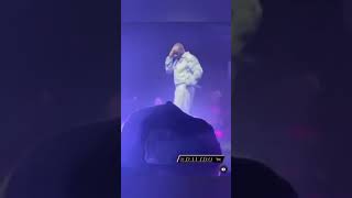 Davido Gives a Fan 50000 At His Concert davido shortsfeed shorts [upl. by Alor]