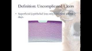 Classification of Corneal Ulcers [upl. by Herodias]