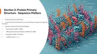 3 Protein Basics Structure and Function [upl. by Rosenberger]