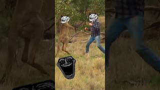 Kangaru vs man☠️trollfaceedit trolling trollface viralshorts [upl. by Anaed740]