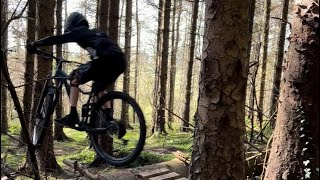 Garvagh forest natural raw [upl. by Orv]