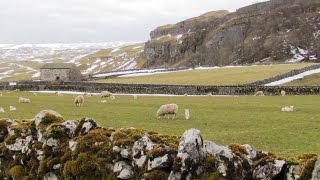 Yorkshire Dales Country Walk  Upper Wharfedale  KettlewellArncliffeLittondale round [upl. by Tillie646]