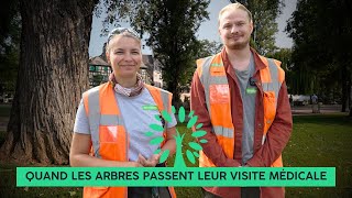 🌳 Quand les arbres passent leur visite médicale 🩺 [upl. by Ahseyi]