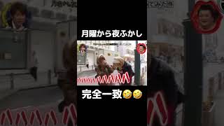 マジで最後まで見てww 月曜から夜ふかし 面白い 奇跡 神回 foryou おすすめ 切り抜き fypジviral バズれ [upl. by Annaeed]