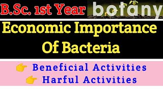 Economic Importance of Bacteria Beneficial Activities of Bacteria Harmful Activities of Bacteria [upl. by Asehr604]