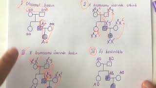 BiyolojiKalıtımSoyağaçları Soru Çözümü [upl. by Caz]