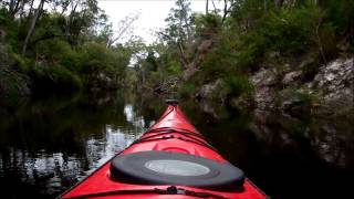 Kayaking in the Upper Noosa River [upl. by Channa]