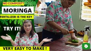 How To Make Moringa Leaves Fertilizer [upl. by Yatnahc]