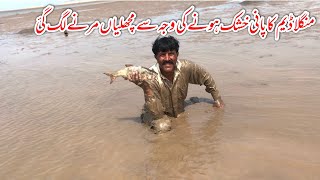 Mangla dam Hoshk Hona ki waja sa Fish marna lag gy 😭 [upl. by Dimphia]