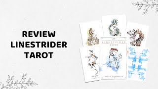 Review bài Tarot  THE LINESTRIDER TAROT  Siolo Thompson [upl. by Koetke]