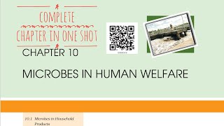 Microbes in human welfare NCERT One shot for NEET [upl. by Honeyman]