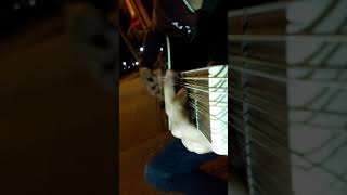 ARIEL CAMACHO TORO ENCARTADO  COVER REQUINTO CON ADORNOS [upl. by Redna70]