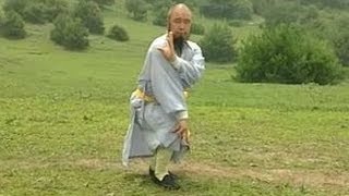 Shaolin Kung Fu Combat Styles 5 7star form 七星拳 qixing quan [upl. by Marmaduke]