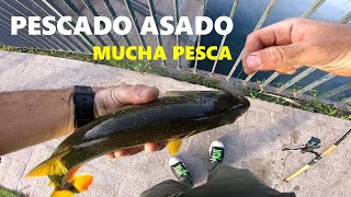 quotPesca y cocina en primera personaquot en cuarentena Pescado asado a la parrilla PESCA URBANA [upl. by Aifas]