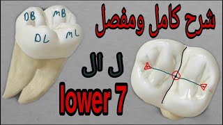 شرح كامل ومفصل لل lower 7 [upl. by Martreb]