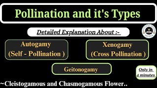 Pollination and its Types Class 12  Autogamy Geitonogamy Xenogamy Class 12 pollination [upl. by Kirsten773]