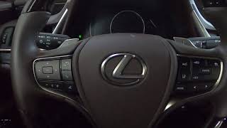 2020 Lexus ES350 Maintenance Light Reset [upl. by Anaiek]