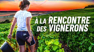 On est allé à la rencontre de VIGNERONS FRANÇAIS  Reportage [upl. by Asor]