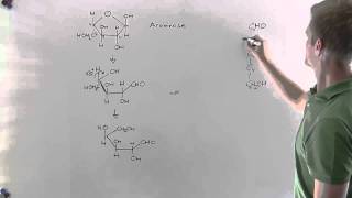 Fünffachzucker Haworth Fischer Teil2 Chemie  Klett Lerntraining [upl. by Gladdie]