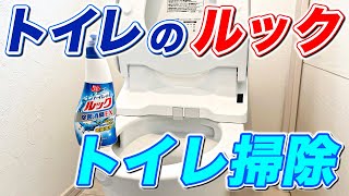 【意外と知らない】トイレのルックを使った正しいトイレ掃除！ [upl. by Yennor49]