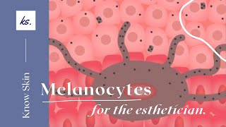 Melanocytes by Kirsten Sheridan [upl. by Ellenad]