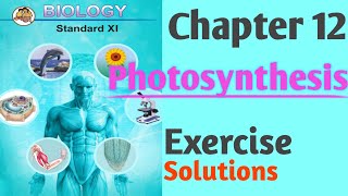 Chapter 12 Photosynthesis Class 11 Biology Exercise Solutions Maharashtra Board [upl. by Acinej266]