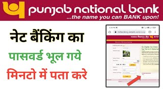 Pnb net banking ka password bhul gaye kya kare  pnb net banking password forgot [upl. by Nolla]