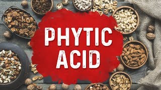 Is Phytic Acid That Bad DrBerg [upl. by Ahsiekat]