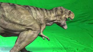 TRex 2 Green Screen [upl. by Hafeenah]