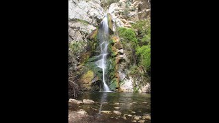 Sturtevant Falls Hike Arcadia California [upl. by Asseral]