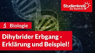 Dihybrider Erbgang  Erklärung und Beispiel  Biologie verstehen mit dem Studienkreis [upl. by Doykos]