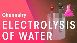 Electrolysis of Water amp Hydrochloric Acid  Reactions  Chemistry  FuseSchool [upl. by Millham]